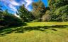 Backyard view