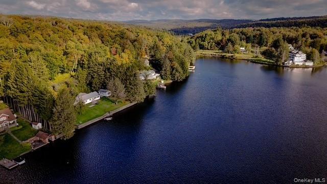Waterfront property featuring a private dock, expansive lawn, and mature trees, set against a forested hillside