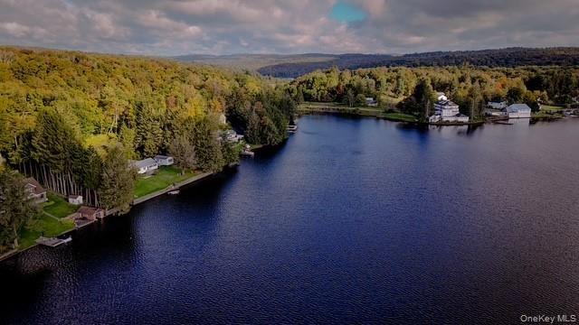 Lakefront property with direct water access, dense tree coverage, and a mountainous backdrop