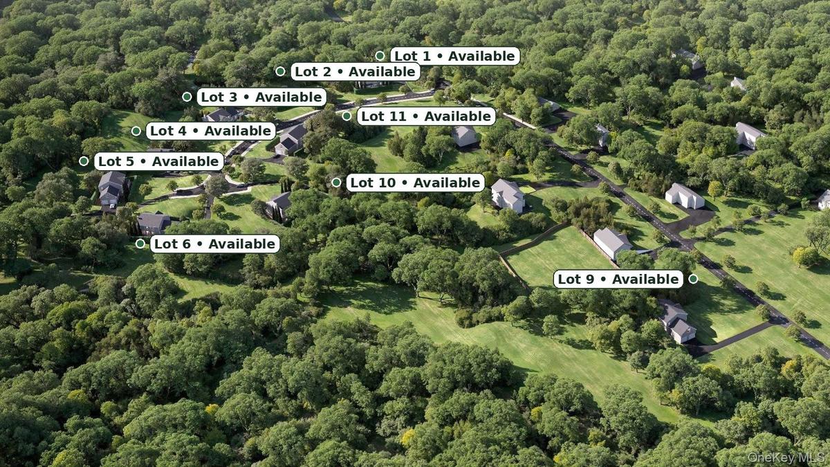 Aerial perspective of a development featuring multiple available lots, established residences, private driveways, and expansive green spaces surrounde