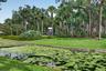 Beautiful lake and park view