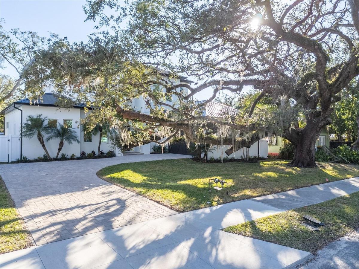 Beautiful Live Oak in the front yard, with an option to fence in the front yard.