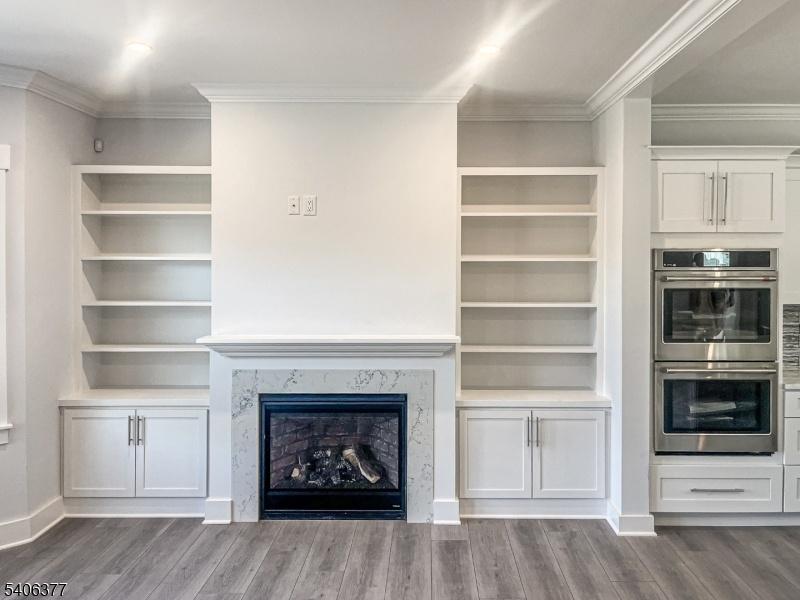 Fireplace and builtins