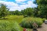 back yard views