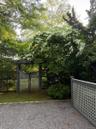 Gravel drive with a backyard entrance with lattice fence and gate, featuring mature trees and flowering shrubbery