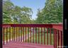 Side Yard