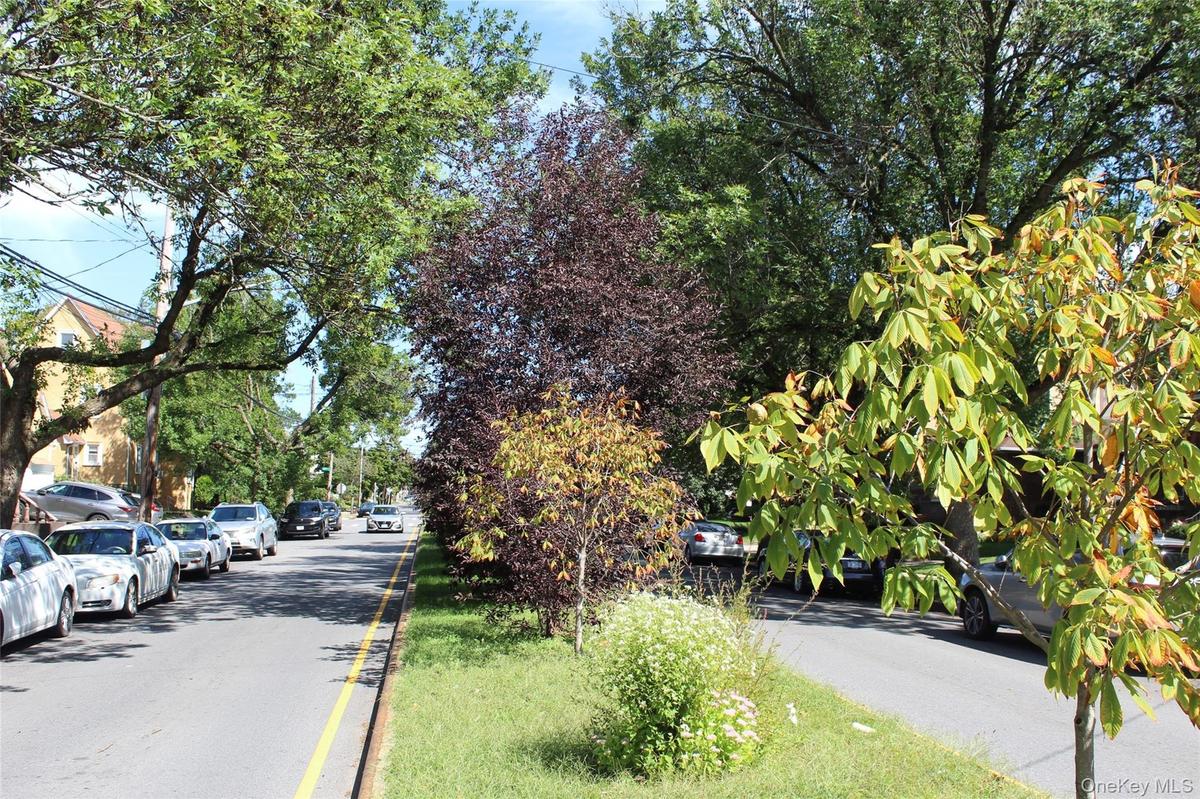 tree lined street with island mall
