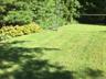 Expansive yard for entertaining and games