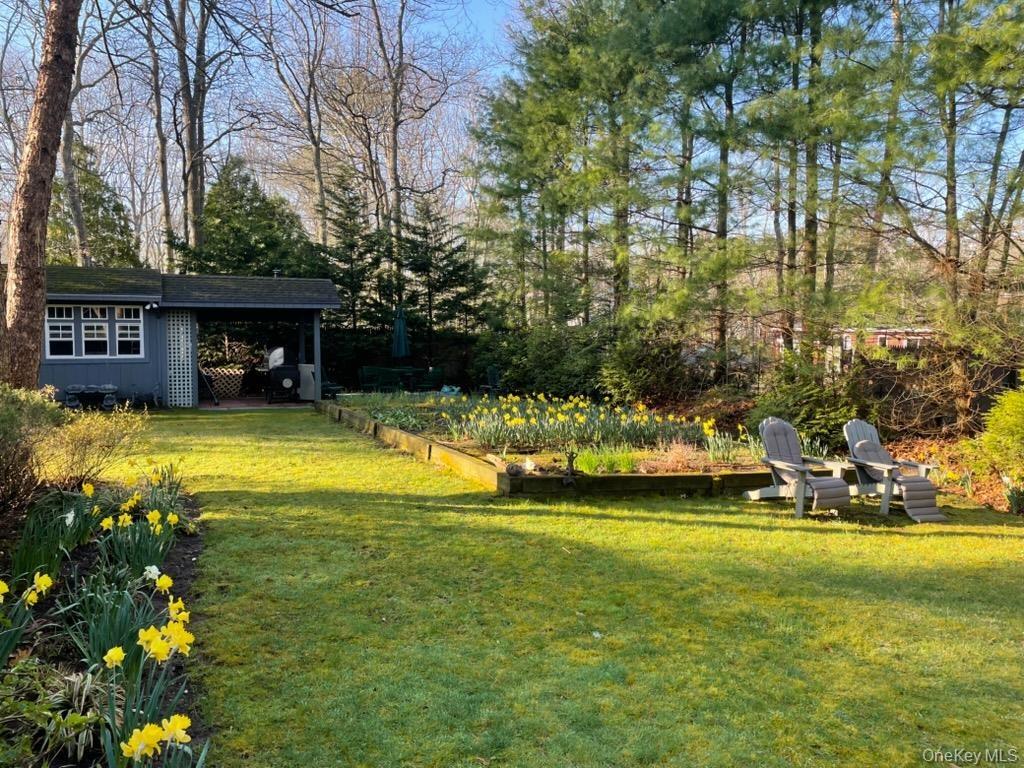 Backyard filled with perennial gardens for year to year enjoyment