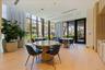Casual resident gathering space framed by natural light and greenery.