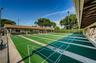 Shuffleboard, bowling, & bocce ball leagues too~
