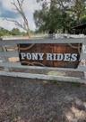PONY RIDES CORAL