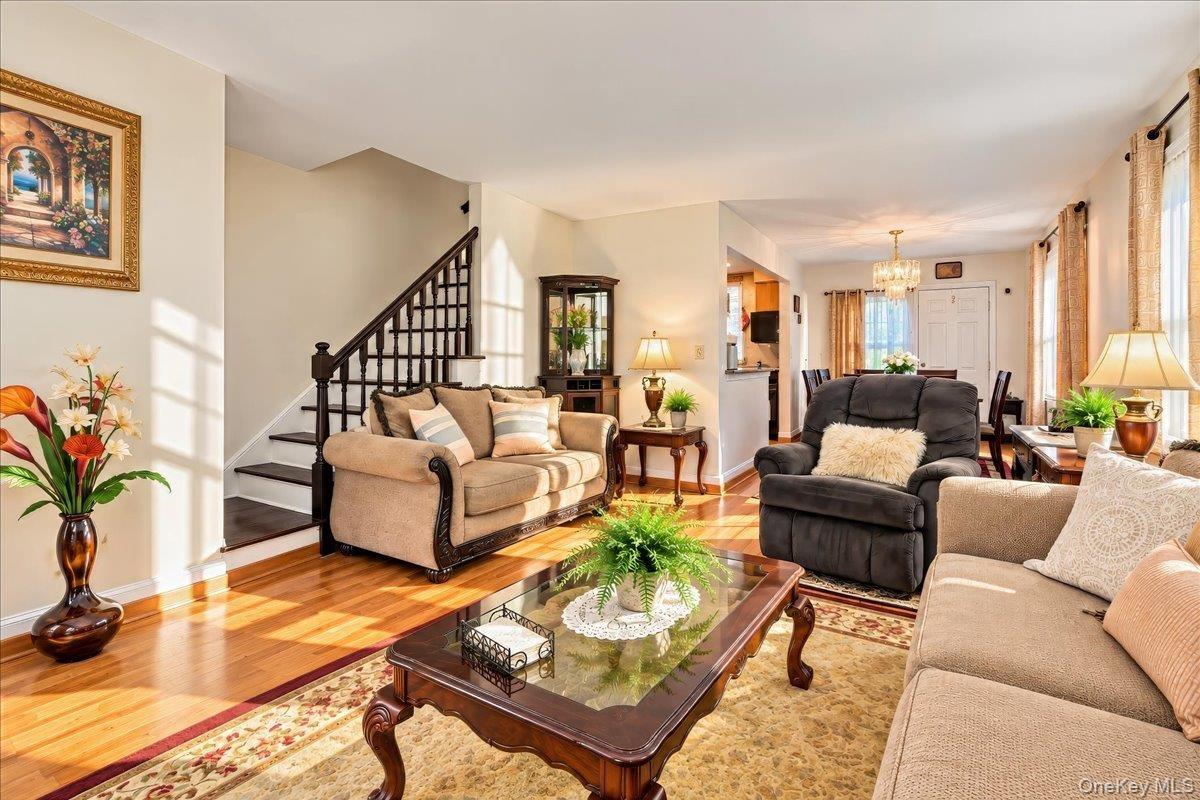 Living room, dining room and kitchen basking in sunlight