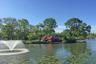 Divine Park