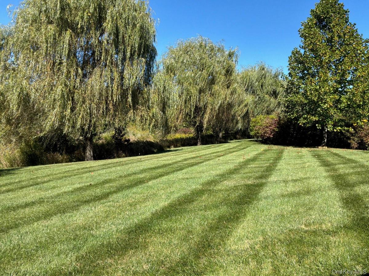 View from screened porch