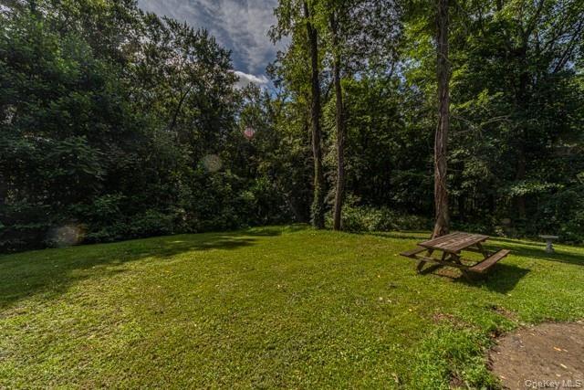 Expansive grassy area with mature trees and a wooded perimeter