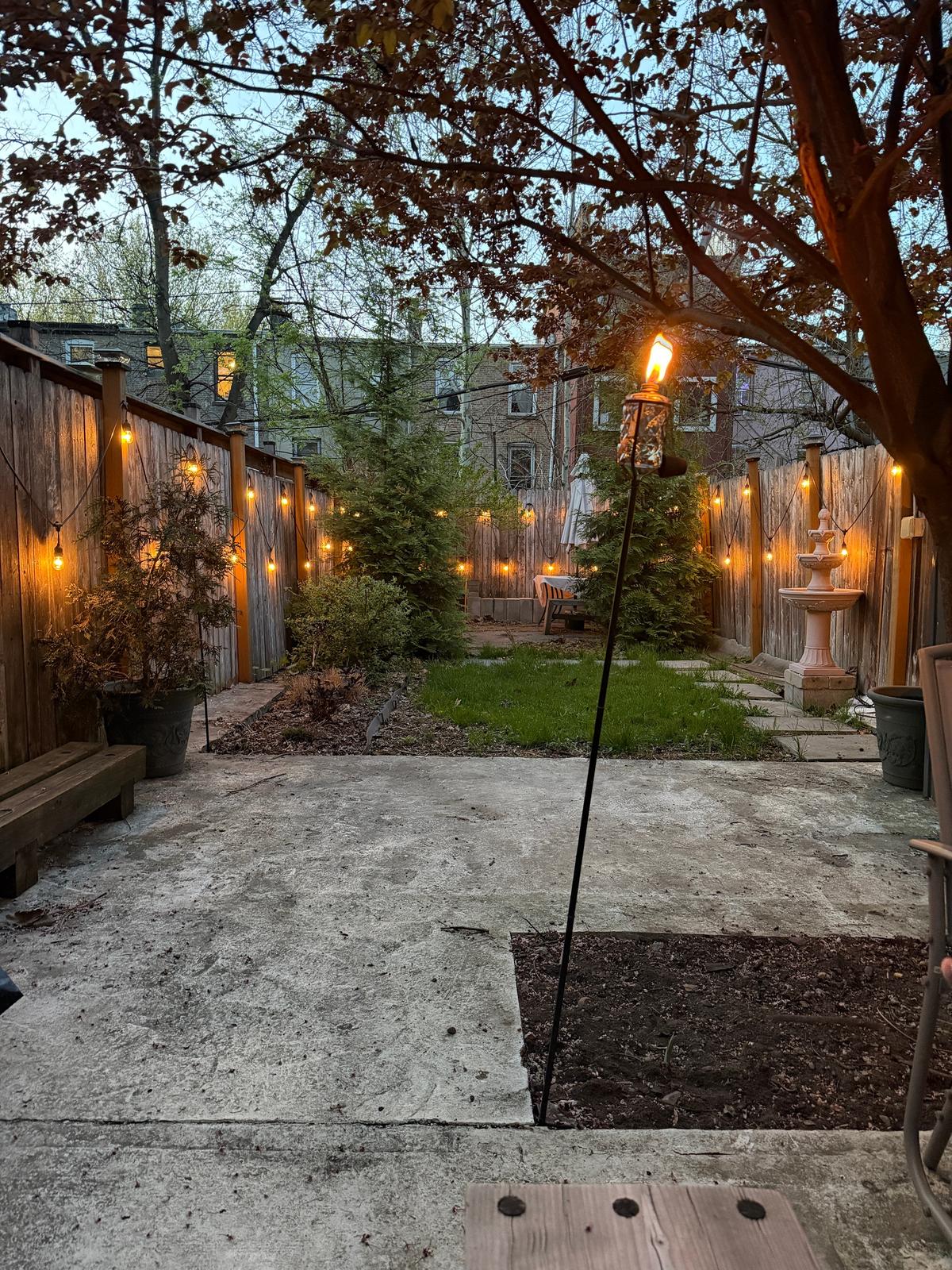 Back Garden