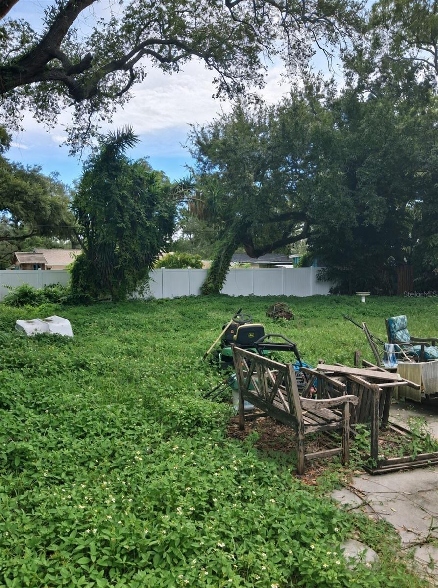 Back Yard Left