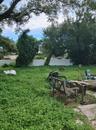 Back Yard Left