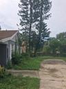 Front Trees