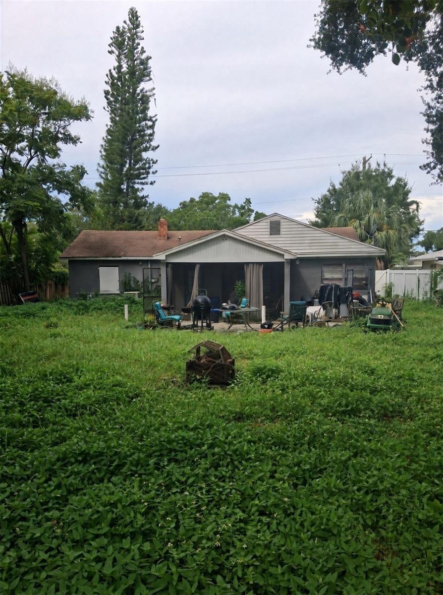 Back Yard
