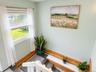 Plants love this room!