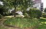 Many beautiful flowering trees, shrubs and bushes throughout the yard
