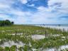 Indian Rocks Beach