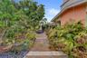 Stone pathway with varied foliage and tropical landscaping
