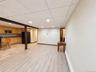 Fully Finished basement with summer kitchen