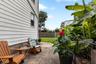 Backyard 3