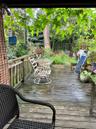 Spacious outdoor deck overlooking a green backyard , perfect for relaxing and entertaining