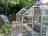 Charming Greenhouse nested in backyard, Perfect for gardening enthusiasts
