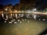 Nearby Bowne Park