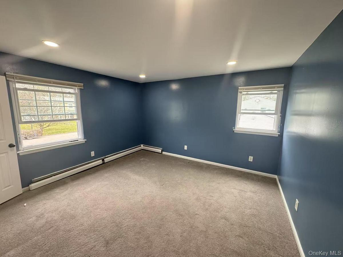 Empty room featuring baseboards, carpet flooring, plenty of natural light, and a baseboard radiator