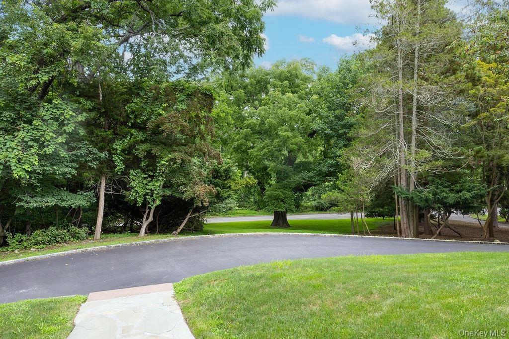 Circular Drive Stately Trees