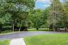 Circular Drive Stately Trees