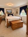 Lower Level Bedroom