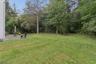 Back Yard -1