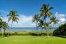 Ocean side lawn