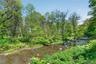 Natural stream featuring a rocky bed and surrounding lush foliage