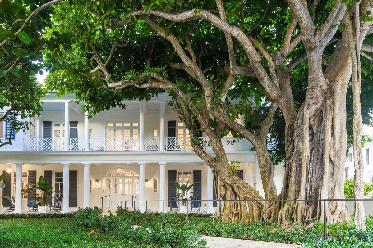 Front entrance Banyan