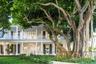 Front entrance Banyan