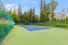 Tennis Court s