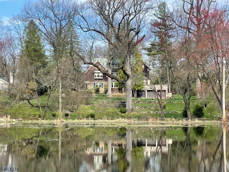 pond view