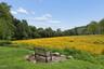 essex fells pond