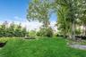 Rear Yard