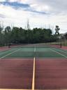 Tennis and Pickleball Court