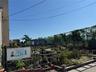 Community garden