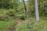 A Brook at the rear of the property giving close access to the 1,000 acre Wonder Lake Park. Donated by the Cushman family and named after his company 